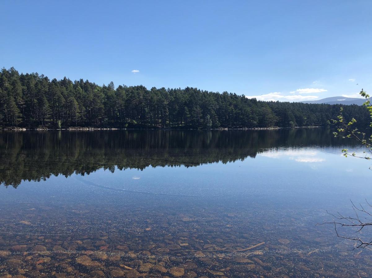 81 The Heathers, Aviemore Holiday Park , Dalfaber Rd Aviemore Ph22 1Px Exteriör bild